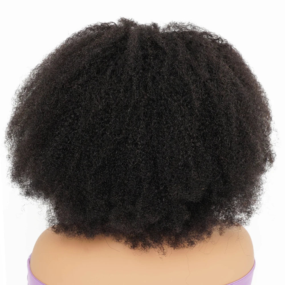 250% Density Afro Kinky Curly  Wigs  With Transparent Remy Lace